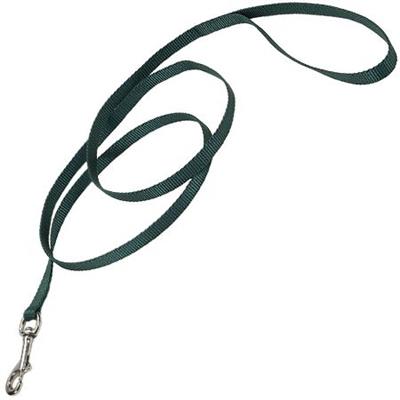 COASTAL Tuff 6' Lead 3/8 - Hunter Green